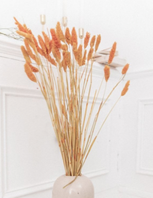 Bouquet De Fleurs Séchées Phalaris Miel 100gr. PRETTY WIRE SHOP