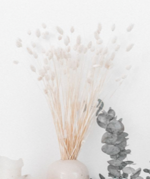 Bouquet De Fleurs Séchées Phalaris Blanchi 100gr PRETTY WIRE