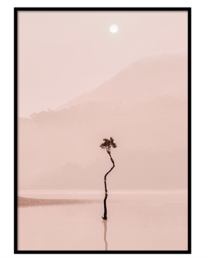 TREE REFLECTION AFFICHE DESENIO