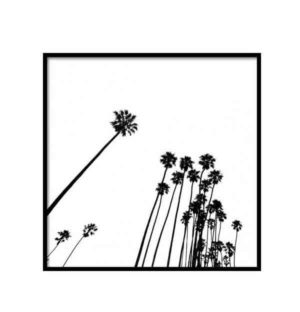 Venice Beach Palm Trees No2 Affiche DESENIO