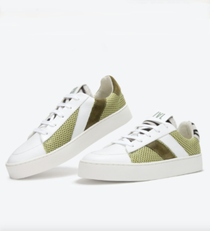 GREEN ZEBRA baskets caval