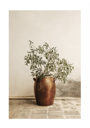 RUSTIC OLIVE BRANCH POSTER DESENIO