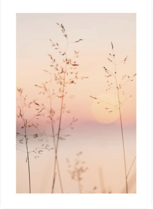 PASTEL SUNSET AFFICHE DESENIO