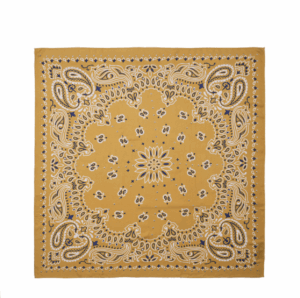 FOULARD MEDIUM PAISLEY Camel Wild Paris